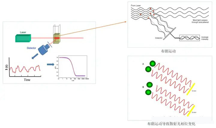 動(dòng)態(tài)光散射技術(shù)的原理與應(yīng)用